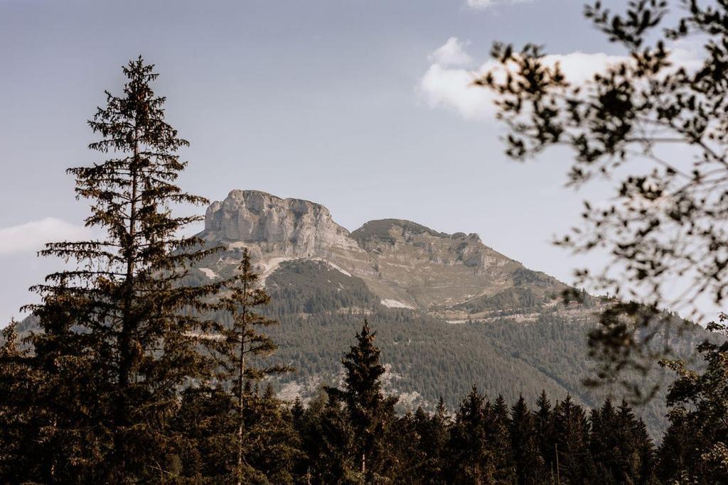 Das Schutzhaus-Bed And Breakfast-Dein Basislager Im Salzkammergut Bad Aussee Dış mekan fotoğraf